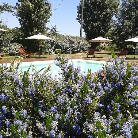B&B La Ferme De Loubens Dış mekan fotoğraf