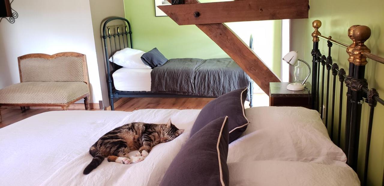 B&B La Ferme De Loubens Dış mekan fotoğraf