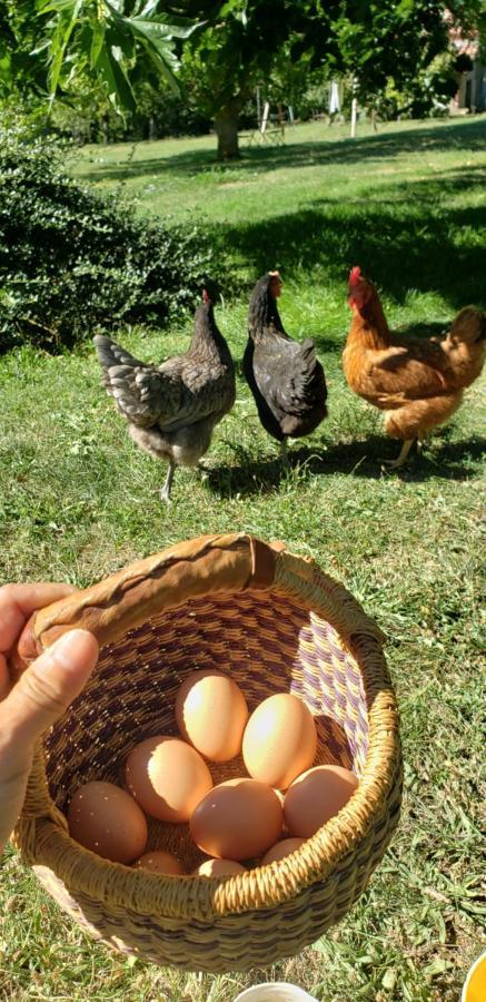 B&B La Ferme De Loubens Dış mekan fotoğraf
