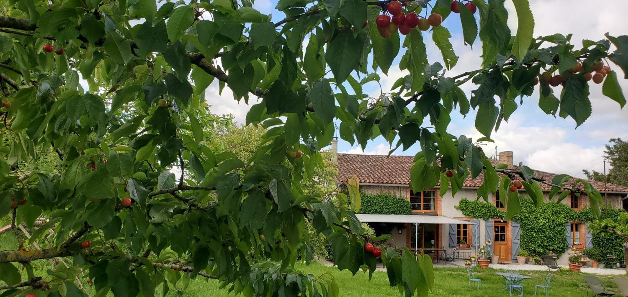B&B La Ferme De Loubens Dış mekan fotoğraf